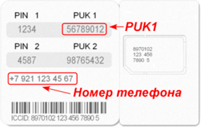 Как узнать pin (или puk) -код sim-карты билайн