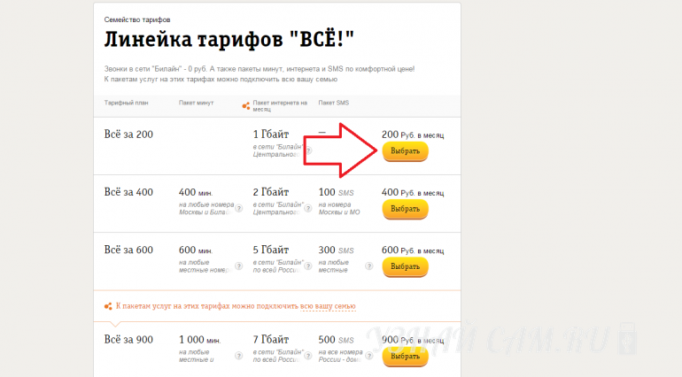 Тариф билайн "все за 100" рублей в месяц - подробное описание и как подключить