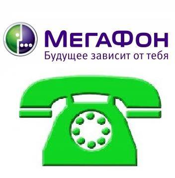 Услуга мегафон «дополнительный городской номер»