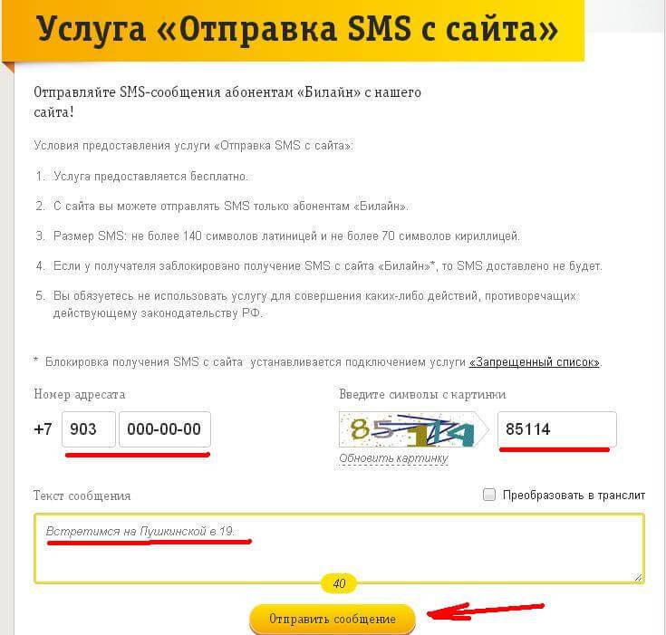 Россия билайн отправить смс с компьютера через интернет на телефон бесплатно   | sms-mms-free.ru
