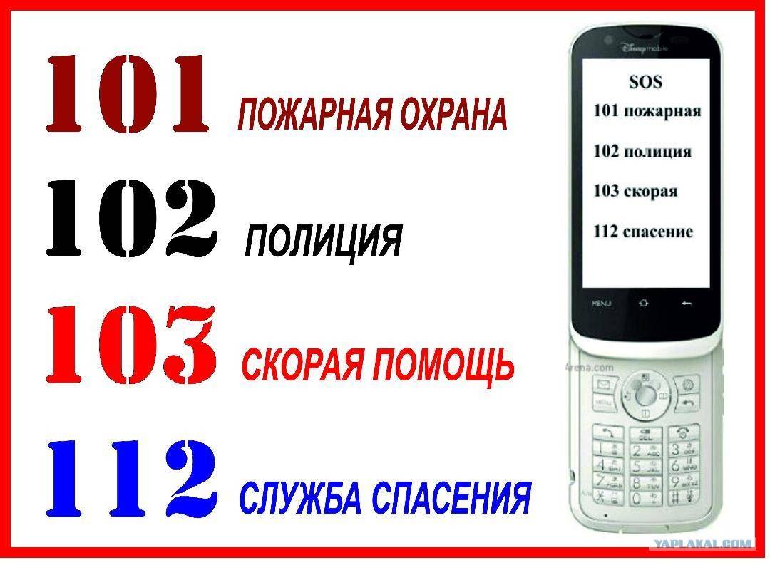 Как с мобильного вызвать полицию: инструкции для абонентов мтс, билайн, мегафон и теле2