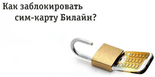 У вас украли сим-карту: что делать? | банки.ру