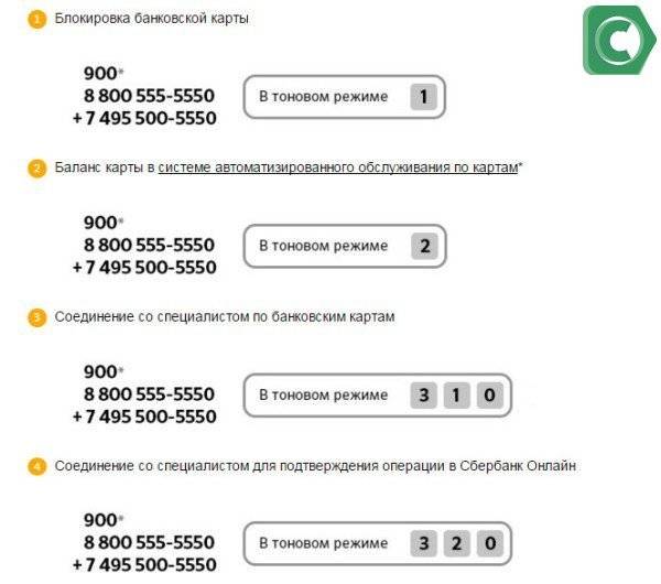 Как связаться с оператором билайн в узбекистане